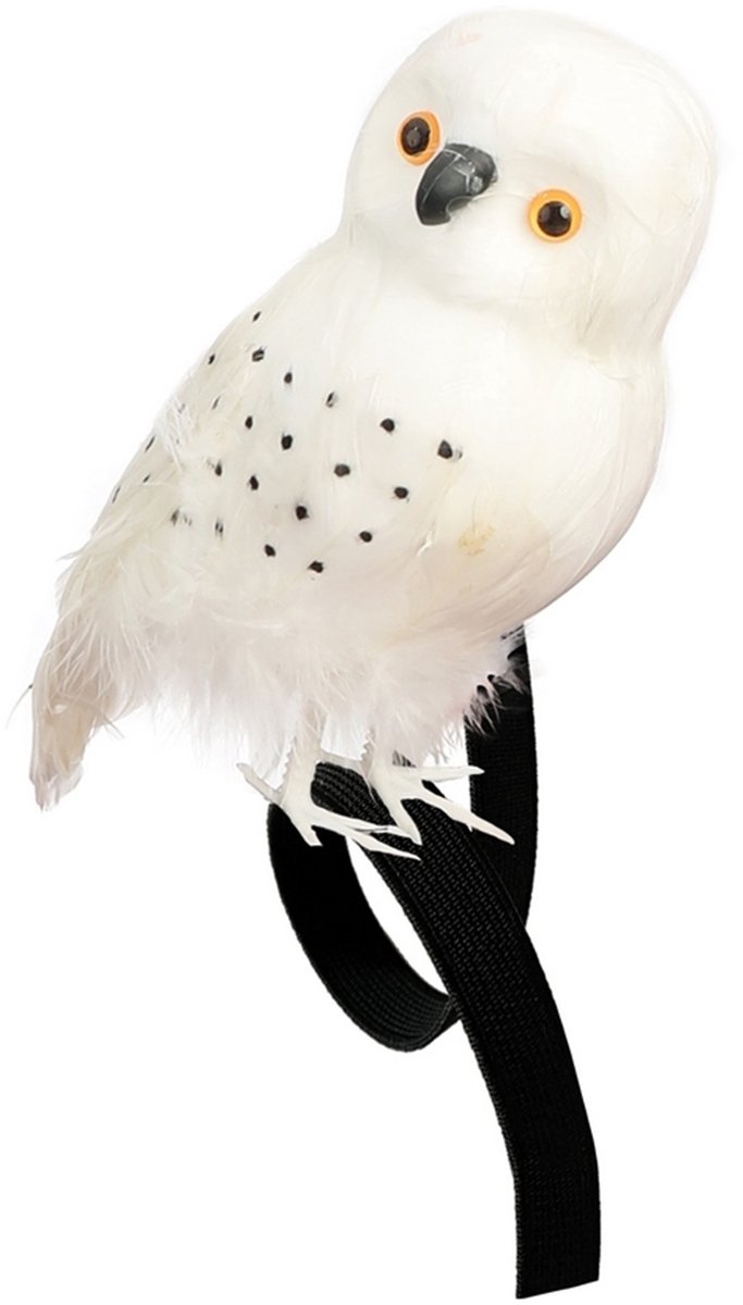 PTIT CLOWN - Tovenaar witte uil